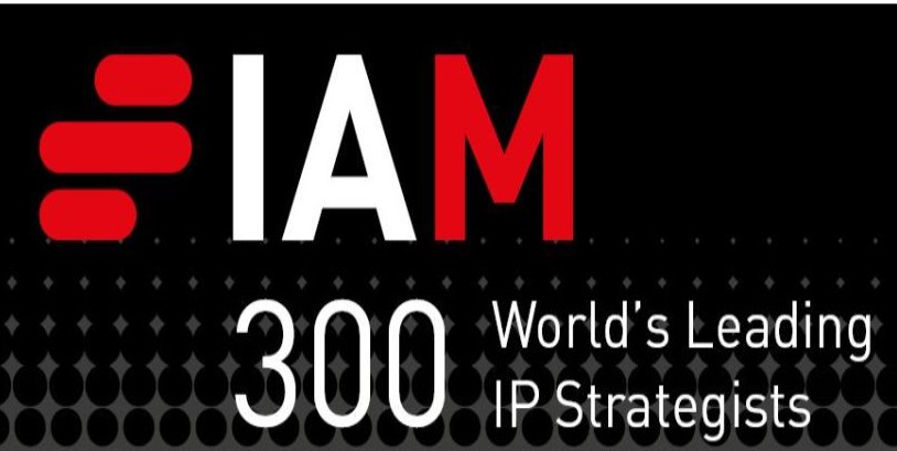 IAM Strategy 300 2024